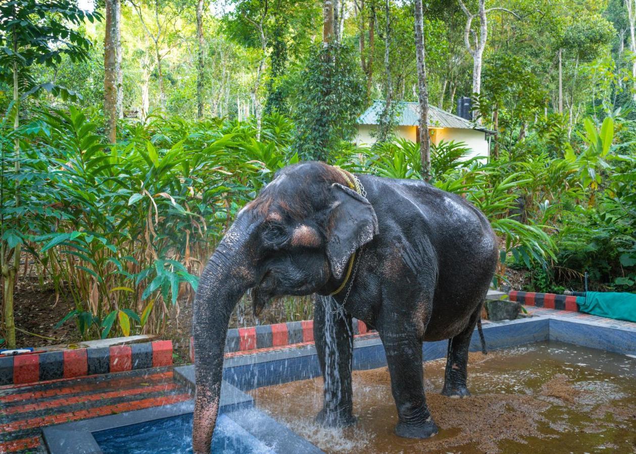 Amritara Shalimar Spice Garden Resort & Spa Thekkady Esterno foto