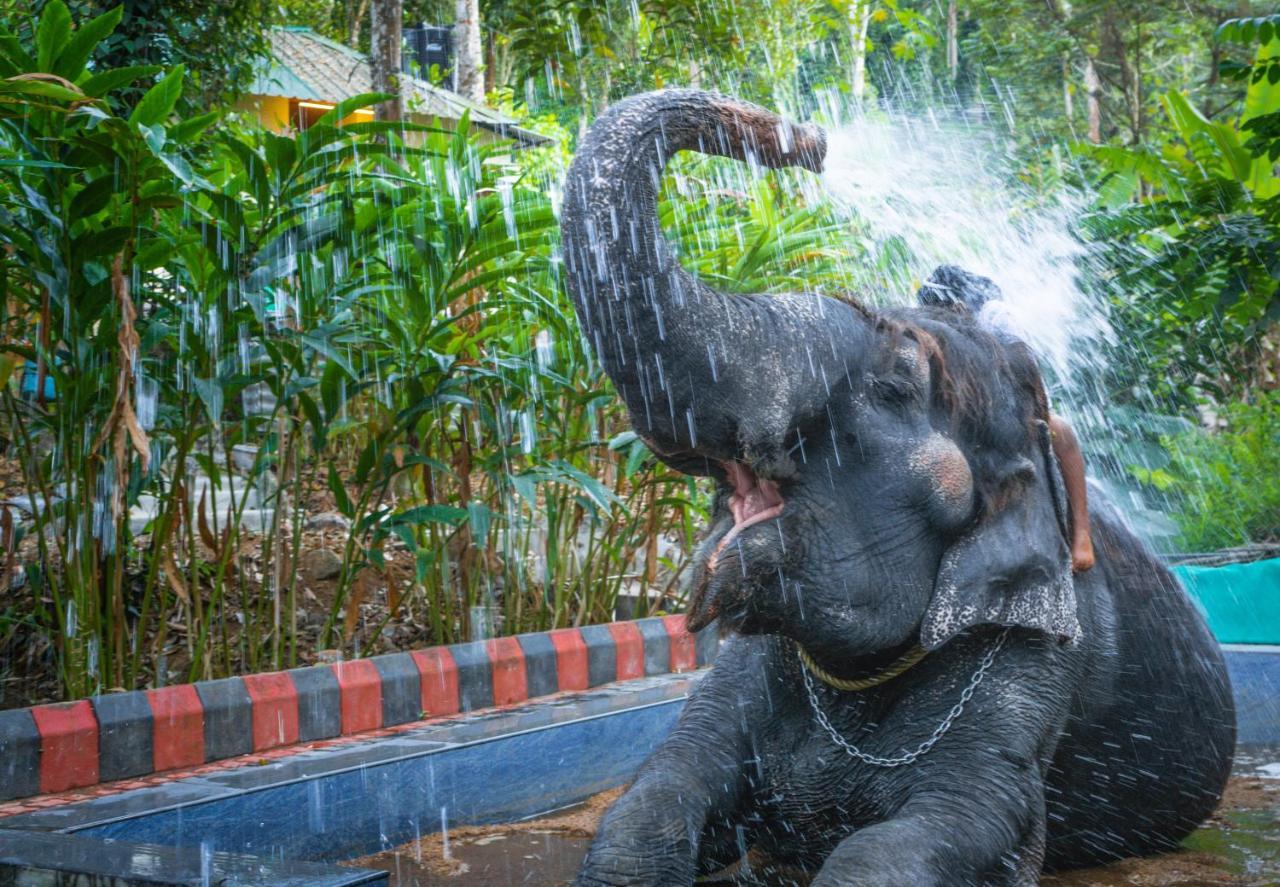 Amritara Shalimar Spice Garden Resort & Spa Thekkady Esterno foto